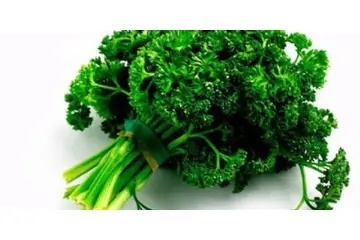 Maydanoz C Vitamini Kullanımı ve Faydaları Nelerdir?